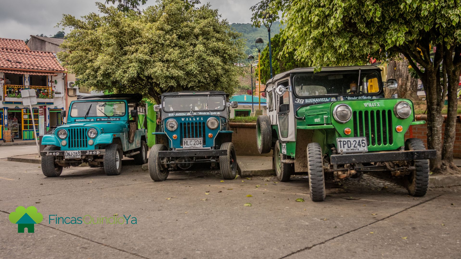 Jeeps de colores para abordar