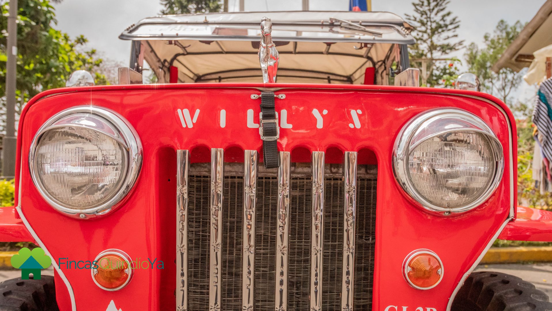 Foto mostrando la parte frontal de un willys