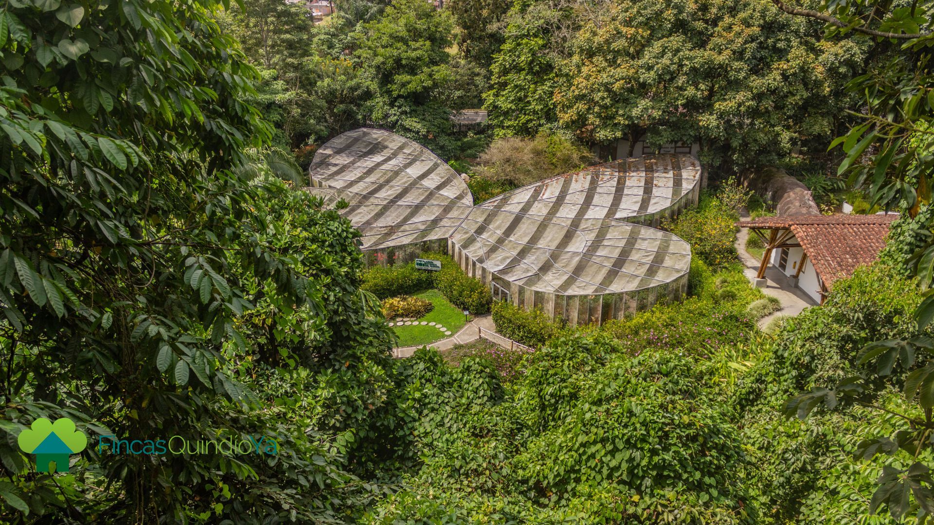 Foto desde arriba del mariposario 