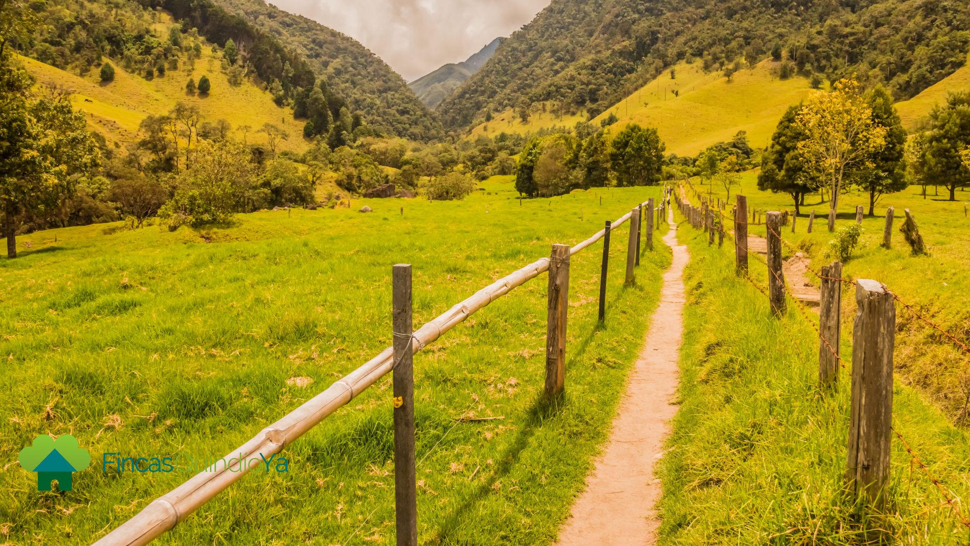 Caminos individuales con vallas a los lados