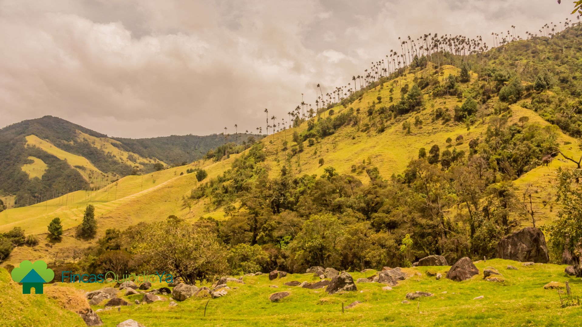 Montañas que se pueden ver en el Valle de Cocora