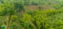 finca_afueras_armenia_200